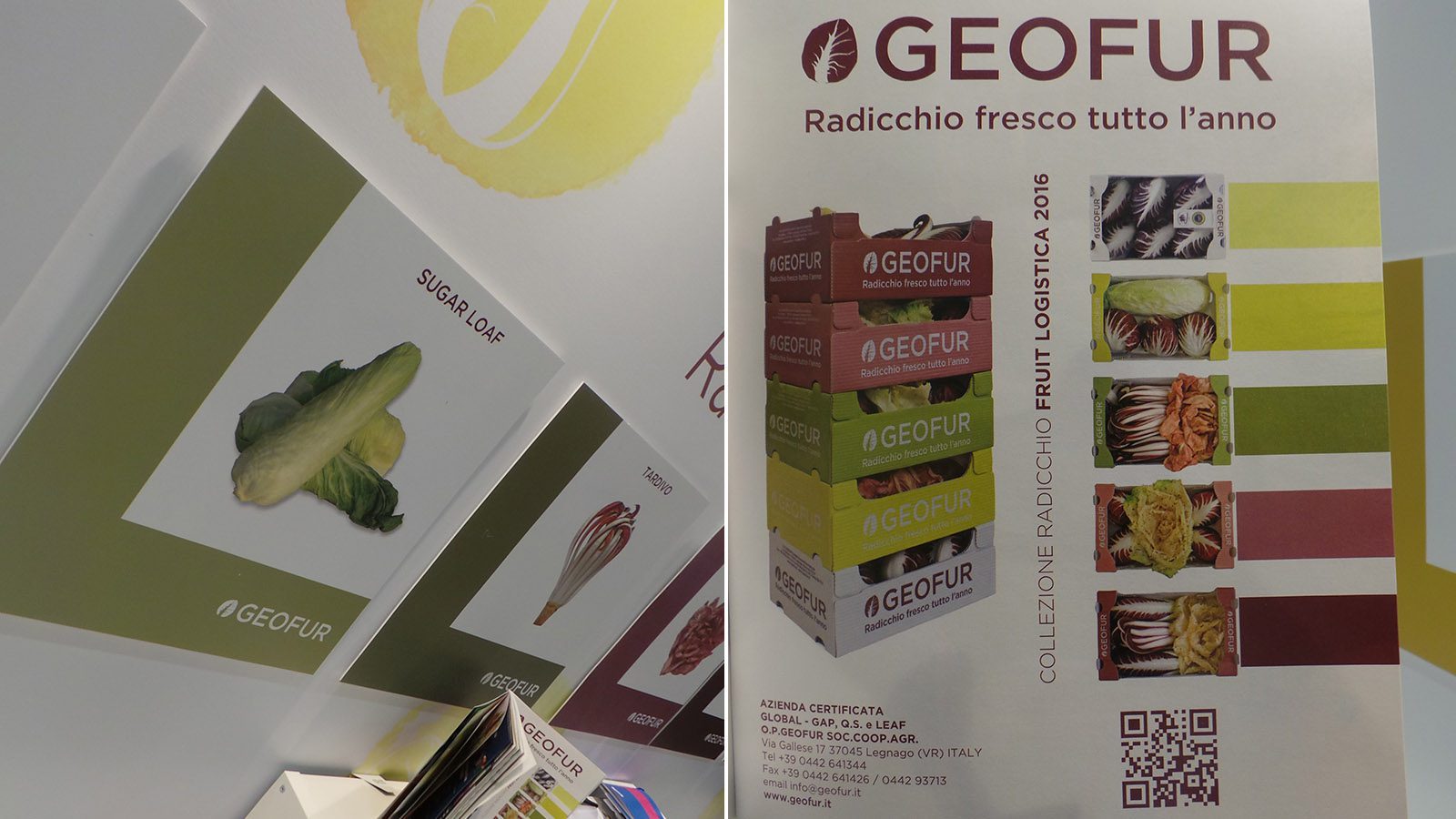geofur-fruitlogistica-2016-pagina-pubblicitaria
